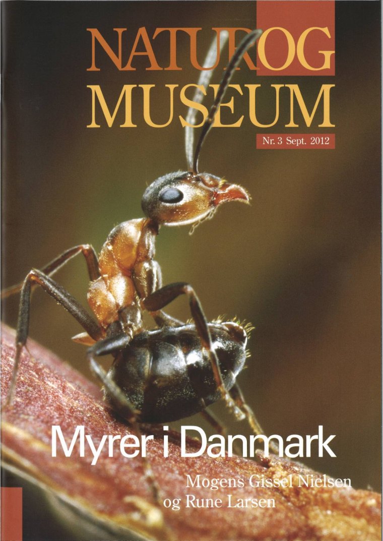 Myrer i Danmark